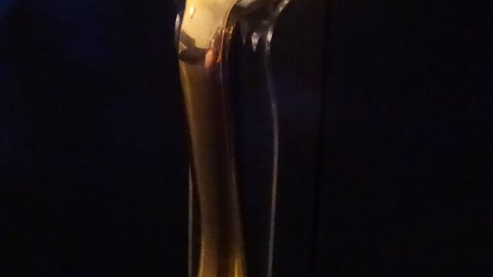 007 Item: Protector 007 razor